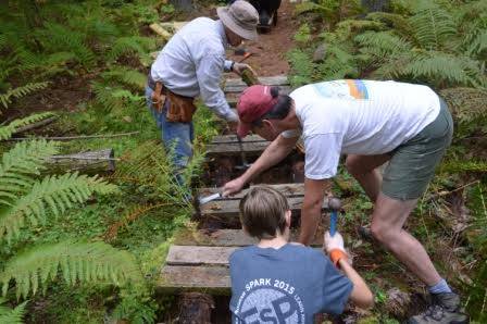 Three people banging hammers, fixing a wooden platform in the forest.